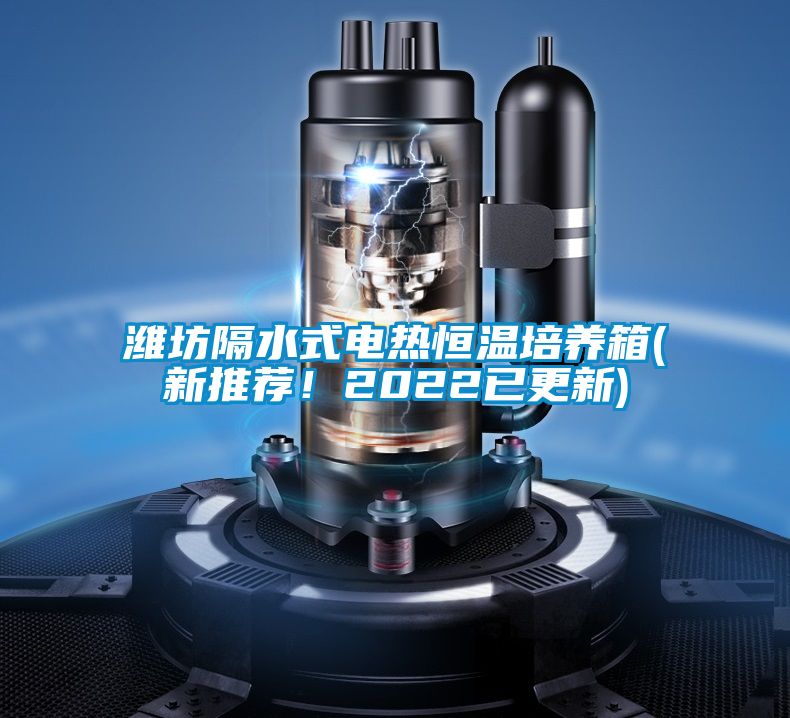 濰坊隔水式電熱恒溫培養(yǎng)箱(新推薦！2022已更新)