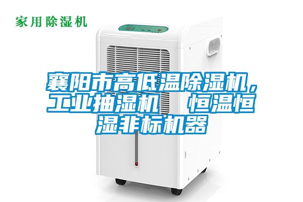 襄陽市高低溫除濕機，工業抽濕機  恒溫恒濕非標機器