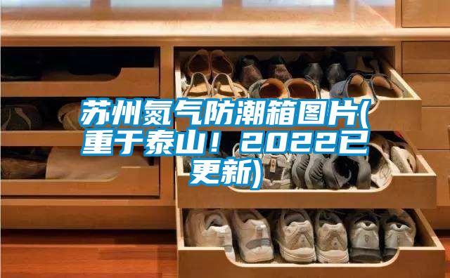 蘇州氮氣防潮箱圖片(重于泰山！2022已更新)