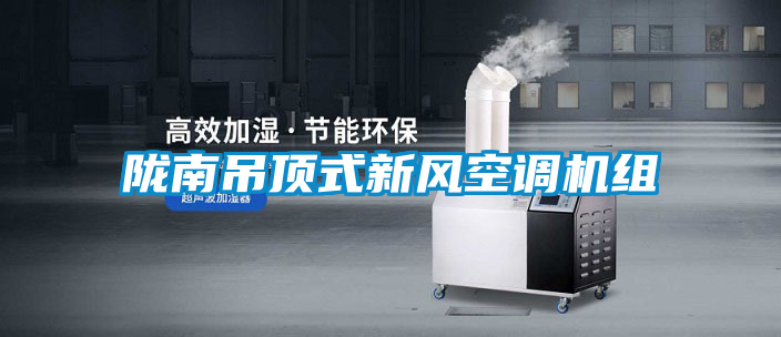 隴南吊頂式新風空調機組
