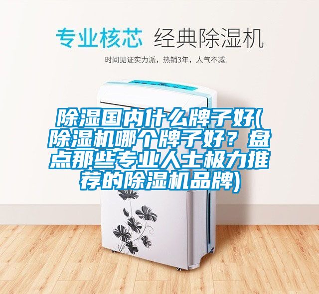 除濕國內什么牌子好(除濕機哪個牌子好？盤點那些專業人士極力推薦的除濕機品牌)