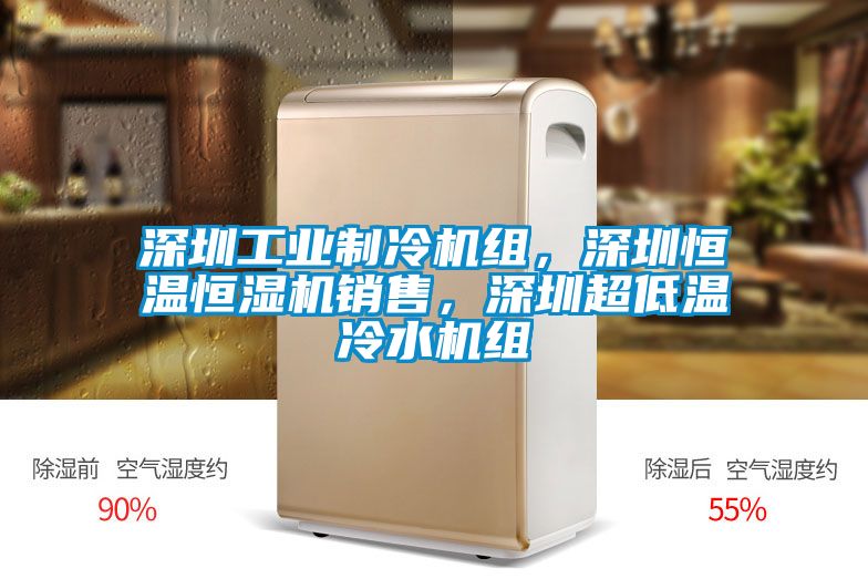 深圳工業(yè)制冷機(jī)組，深圳恒溫恒濕機(jī)銷售，深圳超低溫冷水機(jī)組