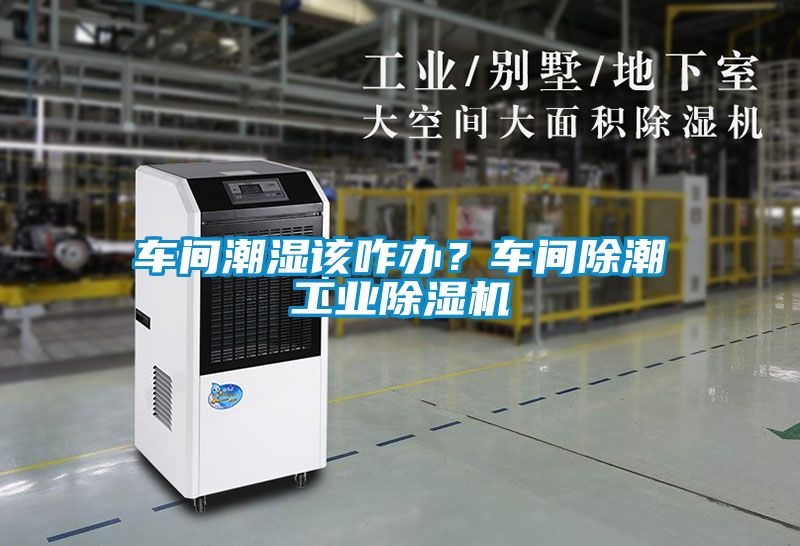 車間潮濕該咋辦？車間除潮工業(yè)除濕機