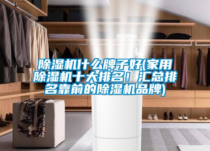 除濕機什么牌子好(家用除濕機十大排名！匯總排名靠前的除濕機品牌)
