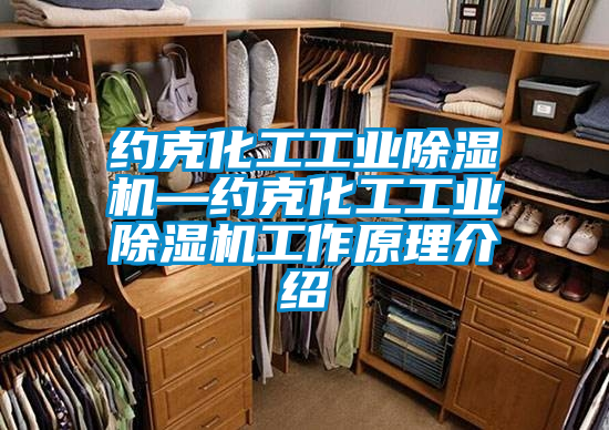 約克化工工業(yè)除濕機—約克化工工業(yè)除濕機工作原理介紹