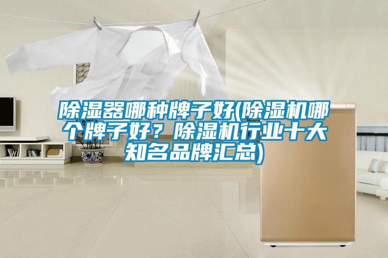 除濕器哪種牌子好(除濕機哪個牌子好？除濕機行業十大知名品牌匯總)