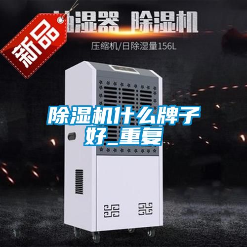 除濕機什么牌子好_重復(fù)