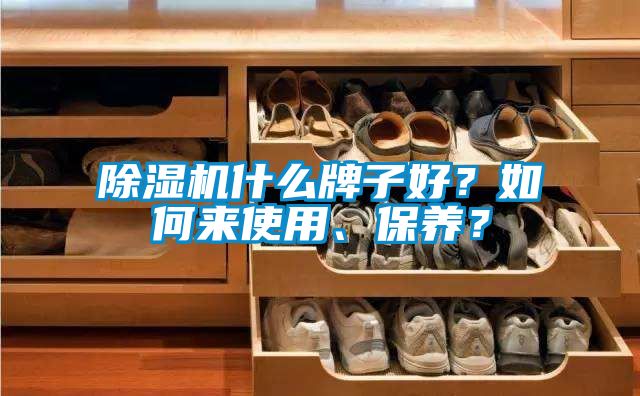 除濕機(jī)什么牌子好？如何來使用、保養(yǎng)？