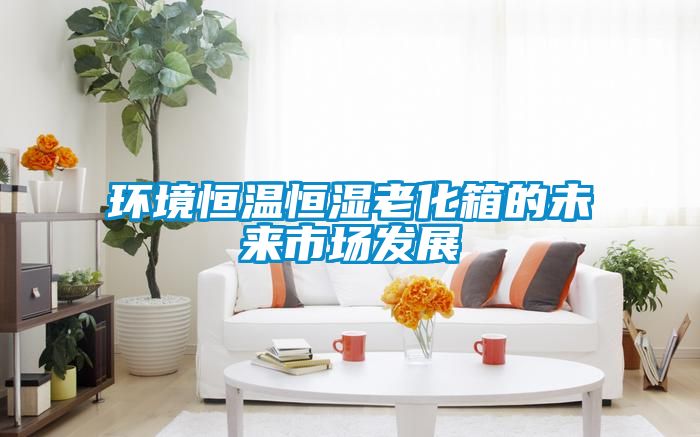 環(huán)境恒溫恒濕老化箱的未來(lái)市場(chǎng)發(fā)展