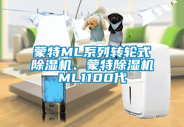 蒙特ML系列轉(zhuǎn)輪式除濕機、蒙特除濕機ML1100代