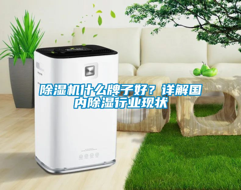 除濕機什么牌子好？詳解國內(nèi)除濕行業(yè)現(xiàn)狀