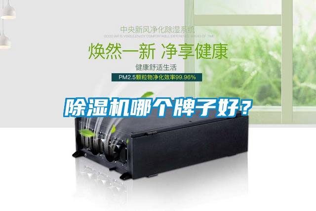 除濕機(jī)哪個(gè)牌子好？