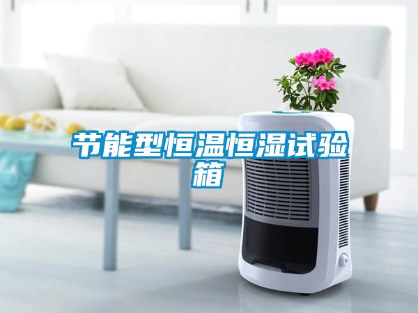 節能型恒溫恒濕試驗箱