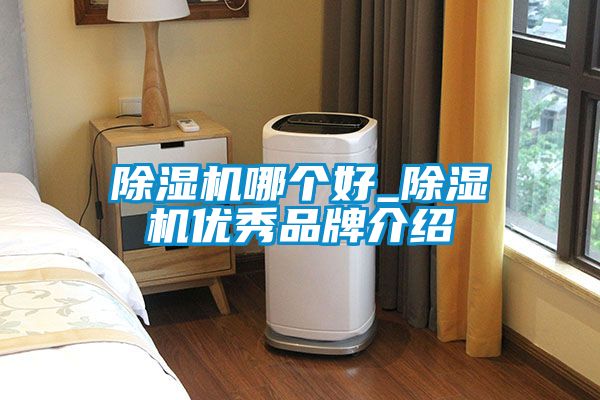 除濕機哪個好_除濕機優秀品牌介紹