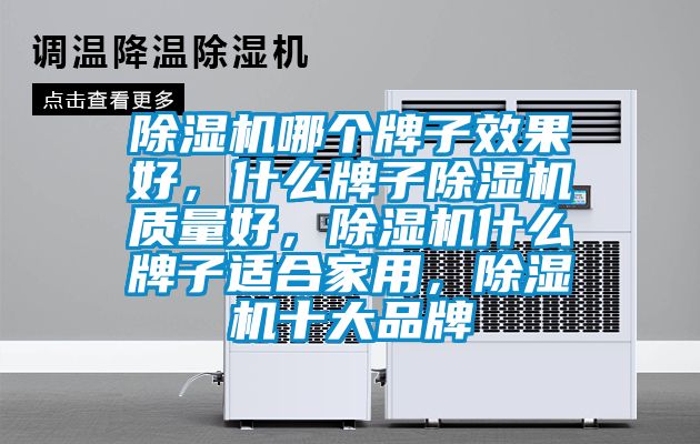 除濕機哪個牌子效果好，什么牌子除濕機質(zhì)量好，除濕機什么牌子適合家用，除濕機十大品牌