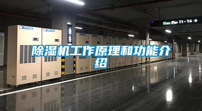 除濕機(jī)工作原理和功能介紹