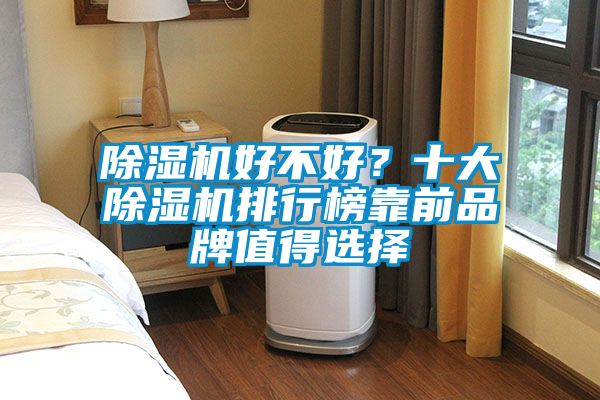 除濕機好不好？十大除濕機排行榜靠前品牌值得選擇