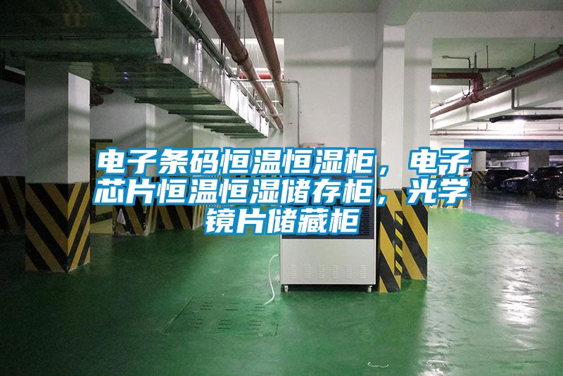 電子條碼恒溫恒濕柜，電子芯片恒溫恒濕儲存柜，光學鏡片儲藏柜