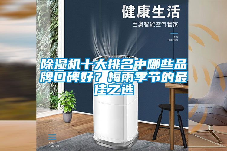 除濕機十大排名中哪些品牌口碑好？梅雨季節的最佳之選