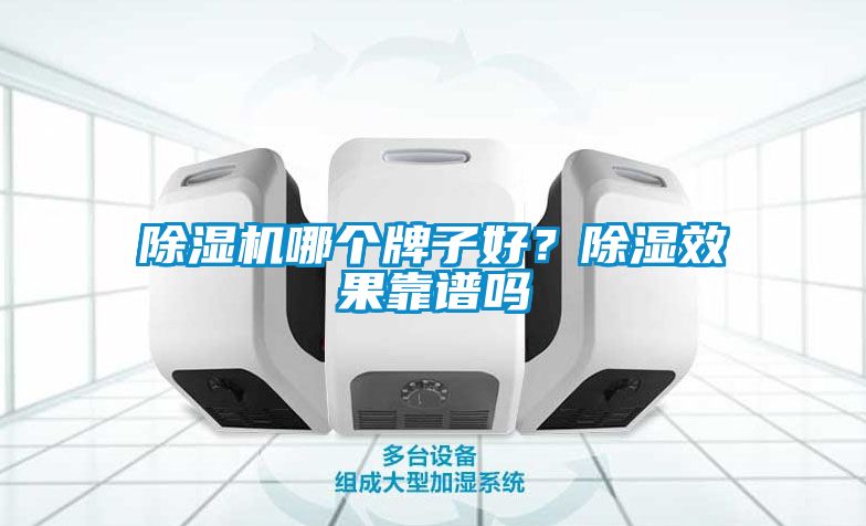 除濕機哪個牌子好？除濕效果靠譜嗎
