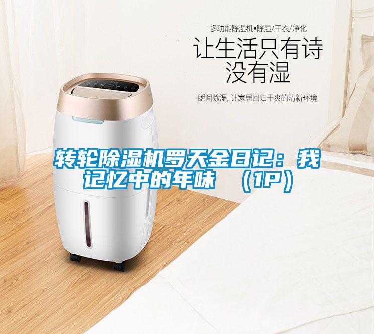 轉輪除濕機羅天金日記：我記憶中的年味 （1P）