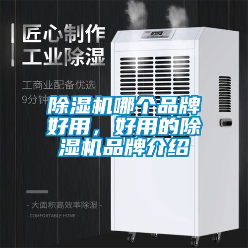 除濕機(jī)哪個(gè)品牌好用，好用的除濕機(jī)品牌介紹