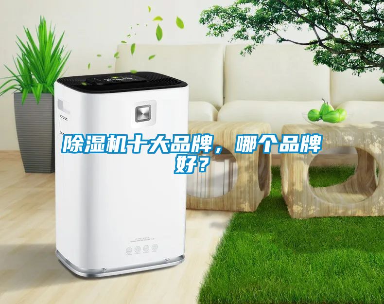 除濕機(jī)十大品牌，哪個(gè)品牌好？