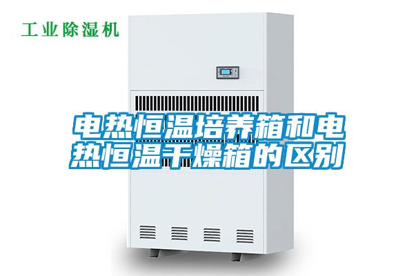 電熱恒溫培養箱和電熱恒溫干燥箱的區別