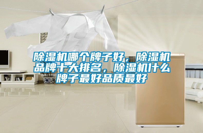 除濕機哪個牌子好，除濕機品牌十大排名，除濕機什么牌子最好品質(zhì)最好