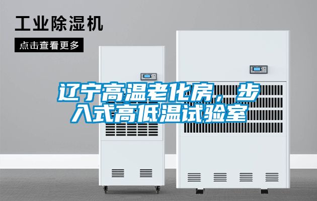 遼寧高溫老化房，步入式高低溫試驗室