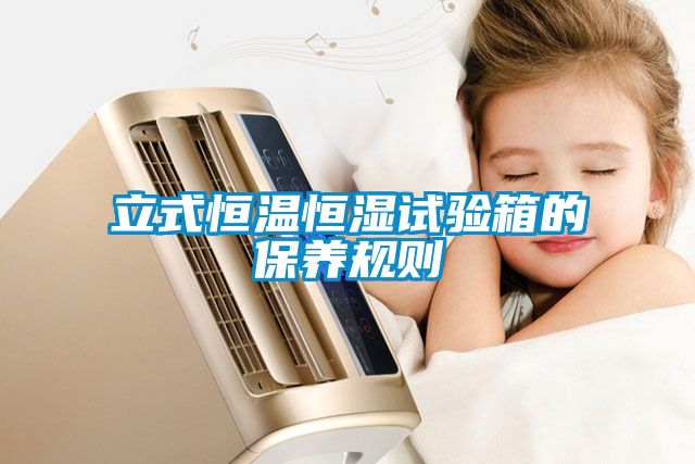 立式恒溫恒濕試驗箱的保養規則
