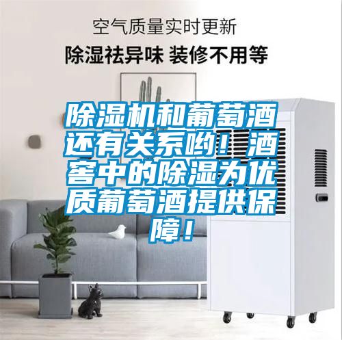 除濕機和葡萄酒還有關系喲！酒窖中的除濕為優質葡萄酒提供保障！