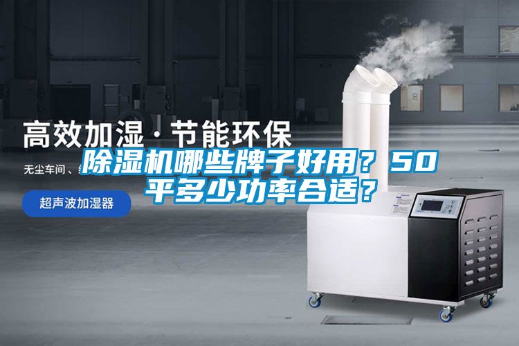 除濕機(jī)哪些牌子好用？50平多少功率合適？