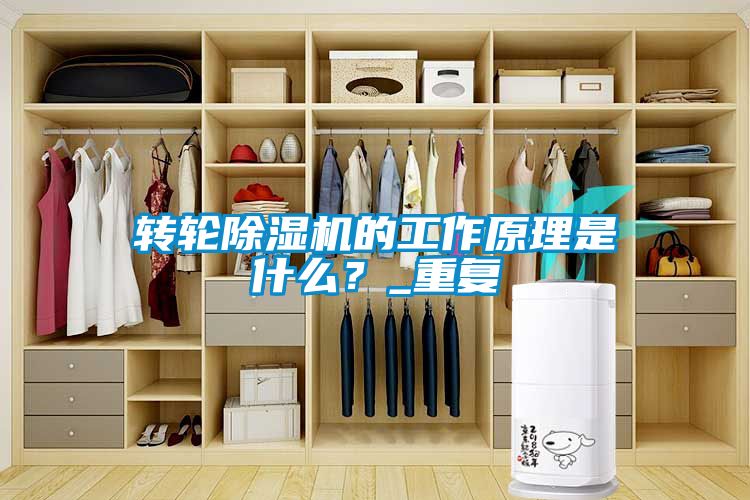 轉輪除濕機的工作原理是什么？_重復