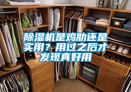 除濕機是雞肋還是實用？用過之后才發現真好用