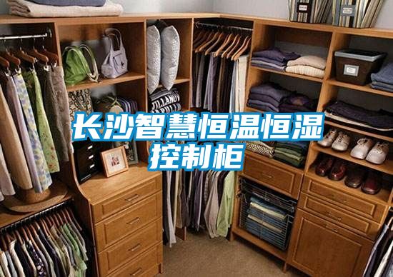 長(zhǎng)沙智慧恒溫恒濕控制柜