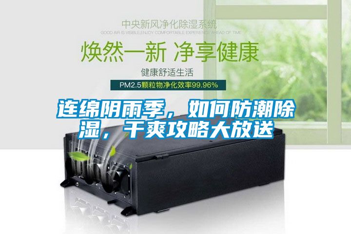連綿陰雨季，如何防潮除濕，干爽攻略大放送
