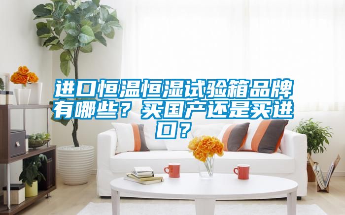 進口恒溫恒濕試驗箱品牌有哪些？買國產還是買進口？