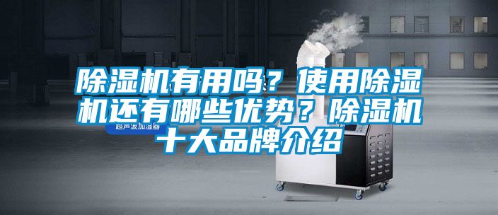 除濕機有用嗎？使用除濕機還有哪些優勢？除濕機十大品牌介紹