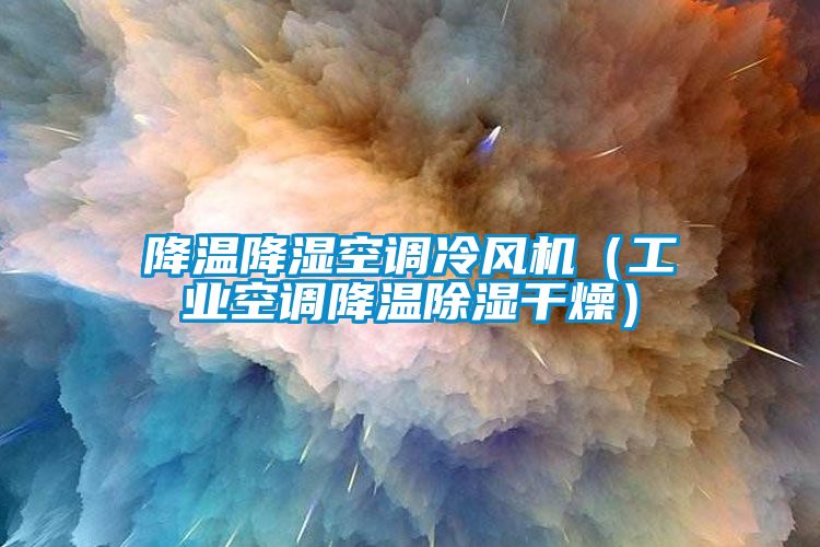 降溫降濕空調(diào)冷風機（工業(yè)空調(diào)降溫除濕干燥）