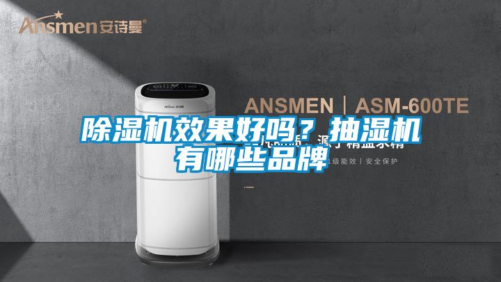 除濕機效果好嗎？抽濕機有哪些品牌