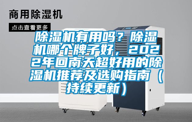 除濕機有用嗎？除濕機哪個牌子好，2022年回南天超好用的除濕機推薦及選購指南（持續更新）