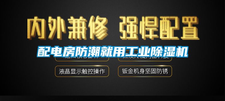 配電房防潮就用工業除濕機