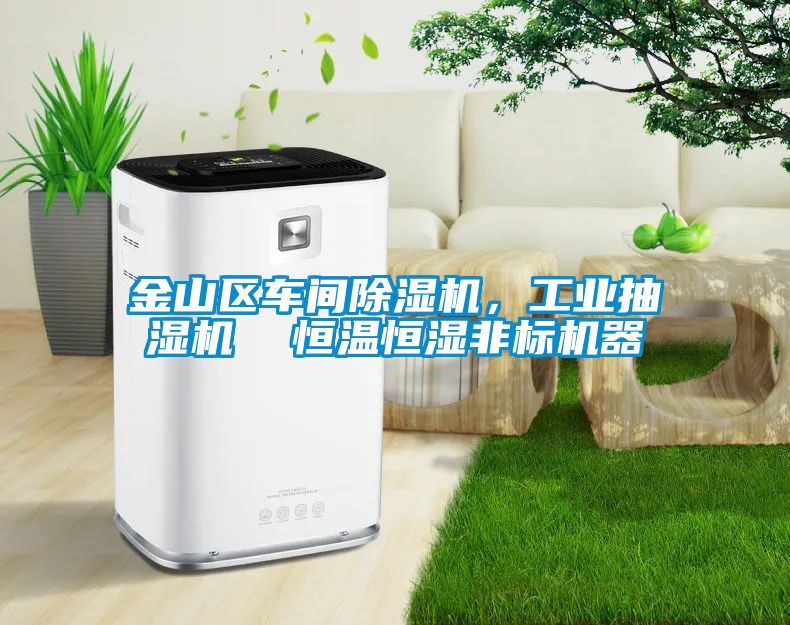 金山區(qū)車間除濕機(jī)，工業(yè)抽濕機(jī)  恒溫恒濕非標(biāo)機(jī)器