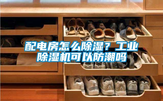 配電房怎么除濕？工業(yè)除濕機(jī)可以防潮嗎