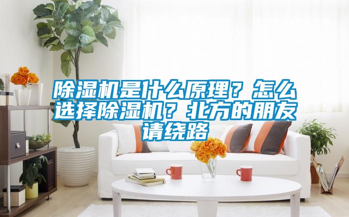 除濕機(jī)是什么原理？怎么選擇除濕機(jī)？北方的朋友請(qǐng)繞路