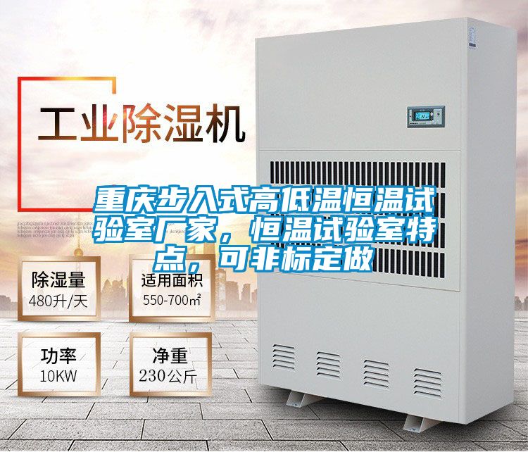 重慶步入式高低溫恒溫試驗室廠家，恒溫試驗室特點，可非標(biāo)定做