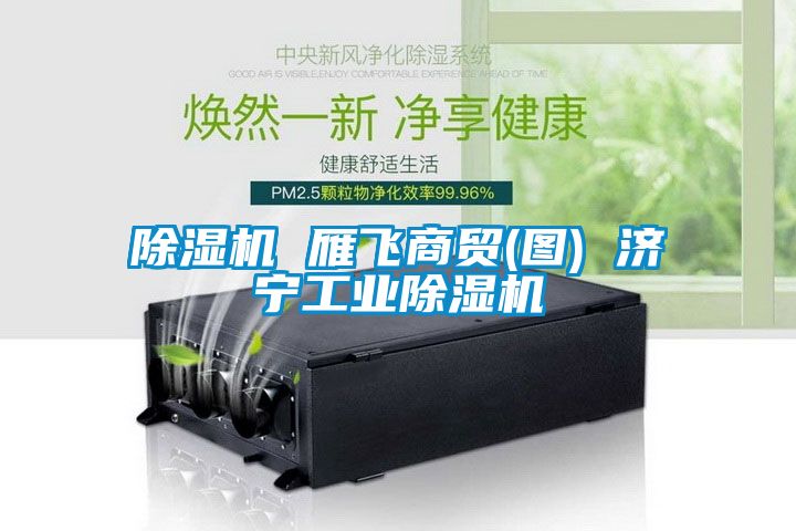 除濕機 雁飛商貿(圖) 濟寧工業除濕機