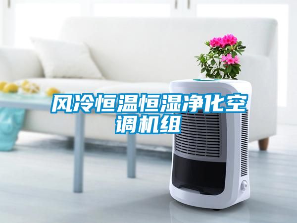 風冷恒溫恒濕凈化空調機組