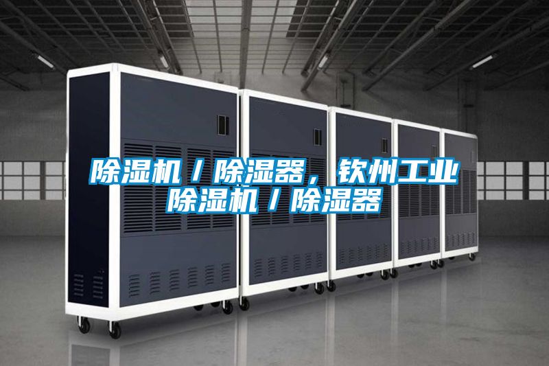 除濕機／除濕器，欽州工業除濕機／除濕器
